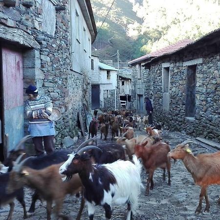 Casa Bernaldo Apartman Covas do Monte Kültér fotó