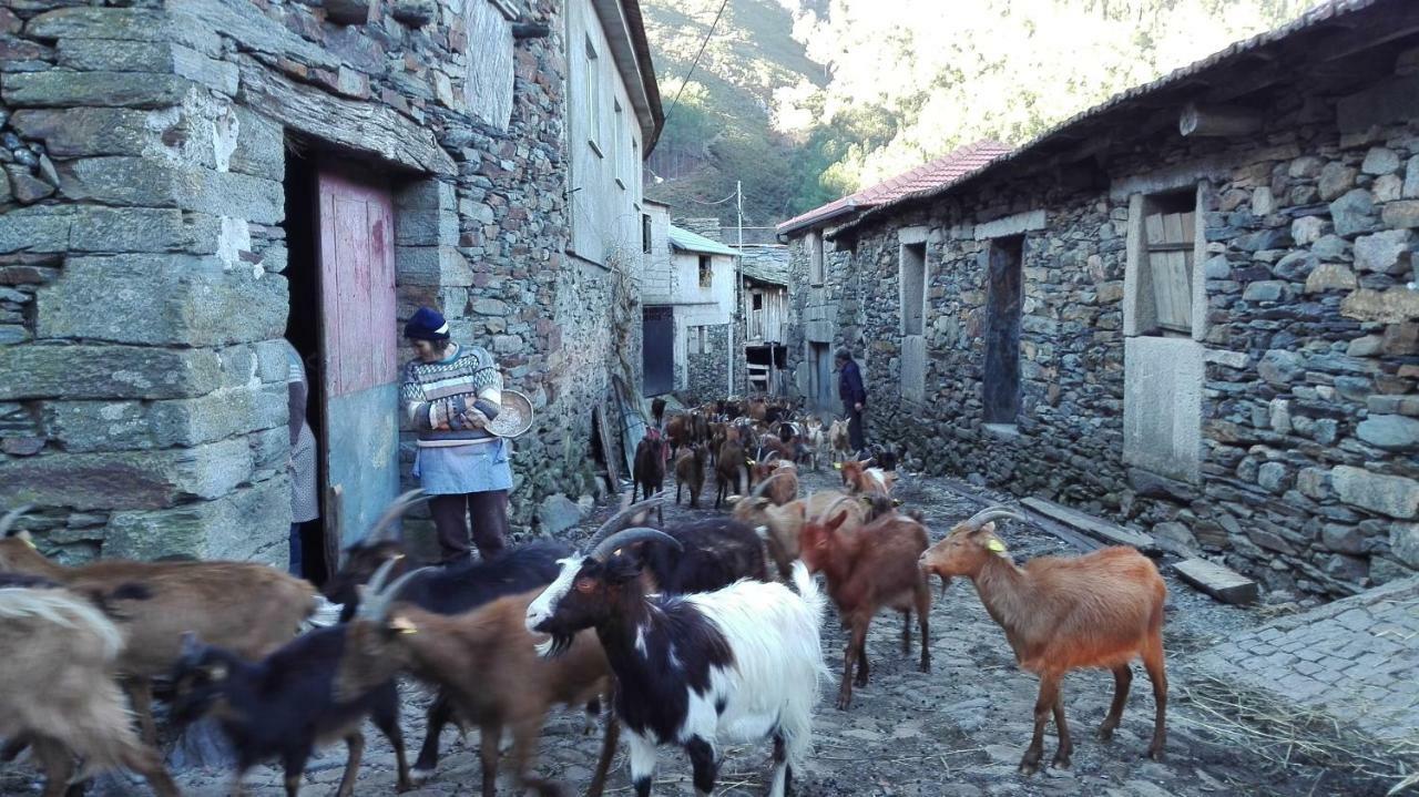 Casa Bernaldo Apartman Covas do Monte Kültér fotó